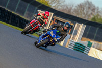 PJM-Wedding-Photography;enduro-digital-images;event-digital-images;eventdigitalimages;mallory-park;mallory-park-photographs;mallory-park-trackday;mallory-park-trackday-photographs;no-limits-trackdays;peter-wileman-photography;racing-digital-images;trackday-digital-images;trackday-photos